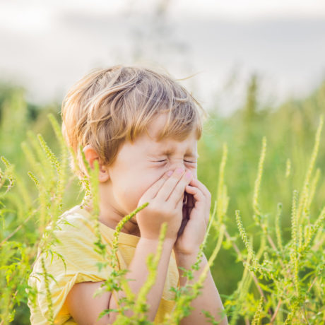 Boy sneezing because of an allergy to ragweed
