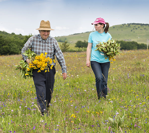 Older man and young woman walking in a meadow.