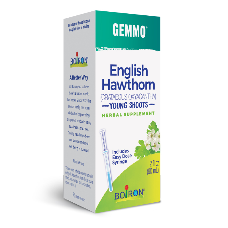 2020_Gemmo_English-Hawthorn_LEFT34_800
